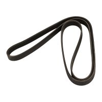 Flerspårsrem 6K1856