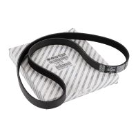 Flerspårsrem 6K1160