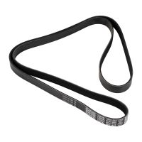 Flerspårsrem 6K1842 DAYCO