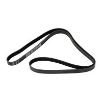 Flerspårsrem 6K1995