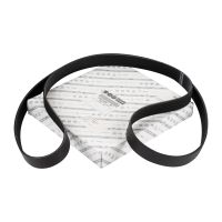 Flerspårsrem 7PK1675 OE 6000616600