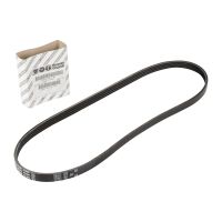 Stretchigt bälte 4K903