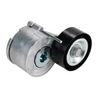 Spännremskiva Flerspårsrem DAYCO