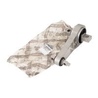 Vridmomentarm bakmotor