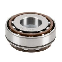 Transmissionslager ingående axel bak