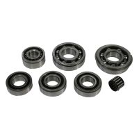 Transmissionslagersats för Fiat-transmissioner inte för Seat-transmissioner