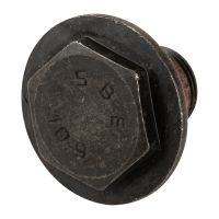 Låsskruv för transmissionens huvudaxel