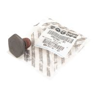 Låsskruv för transmissionens huvudaxel