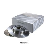 Bakre bromsskiva full Ø 264 mm