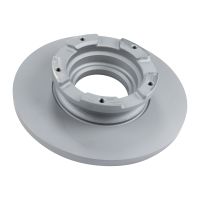 Bakre bromsskiva full 308 Ø mm