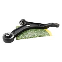 Bärarm vänster endast Light Magneti Marelli