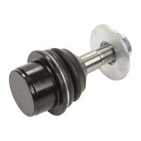 Tragarmkopf Traggelenk