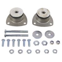 Set med tysta buskar framför