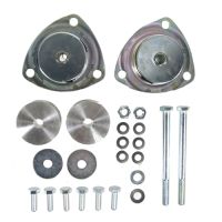 Set med tysta buskar framför