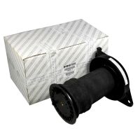 Bälgluftfjäderfjäder bak