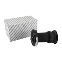 Bälgluftfjäderfjäder bak