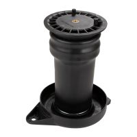 Bälgluftfjäderfjäder bak