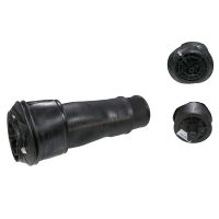 Bälgluftfjäderfjäder bak