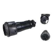 Bälgluftfjädring fjäder bak