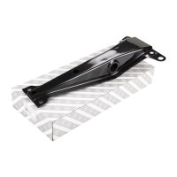 Bladfjäderfäste på vänster bak