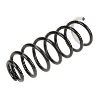 Fahrwerksfeder hinten