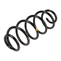 Spiralfeder hinten