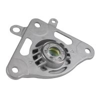 Fjäderbensstödlager, höger bak