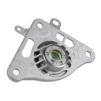 Fjäderbensstödlager, vänster bak