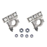 Batteripolklämma set plus + minus -