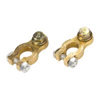 Batteripolpolplint minus pluspol M10 set