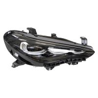 Fram höger strålkastare