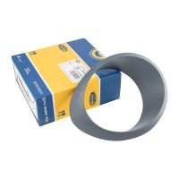 Ram till höger för bakljus