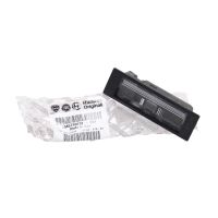 registreringsskylt ljus