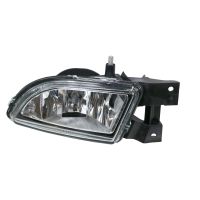 Dimljus fram vänster