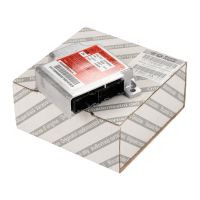 Airbag kontrollenhet