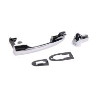 Dörrhandtag krom vänster bak