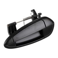 Bakre vänstra dörrhandtag