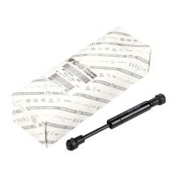 Gasfjäder till huven