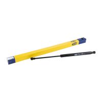 Gasfjäderhuv Magneti Marelli