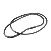 Profilgummi för bakdörr till höger