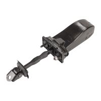 Bakdörrskontrollrem