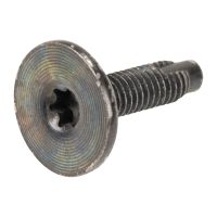 Skruv Torx T-30 M6 OE 51810310