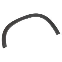 Prydnadslist på främre vänstra skärmen