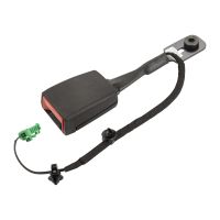 Bälttrumma bältespiska