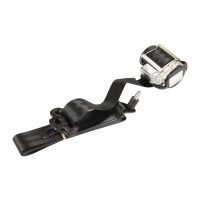 Sicherheitsgurt vorne links