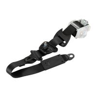 Säkerhetsbälte vänster bak