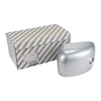 Spegelkåpa till vänster