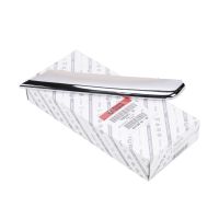 Täcklist på främre stötfångaren till vänster