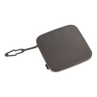 Täckflik, åtkomstflik