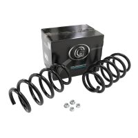 Ersättningsspiralfjädrar till framaxeln GOLDSCHMITT